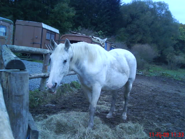 DSC01856.JPG